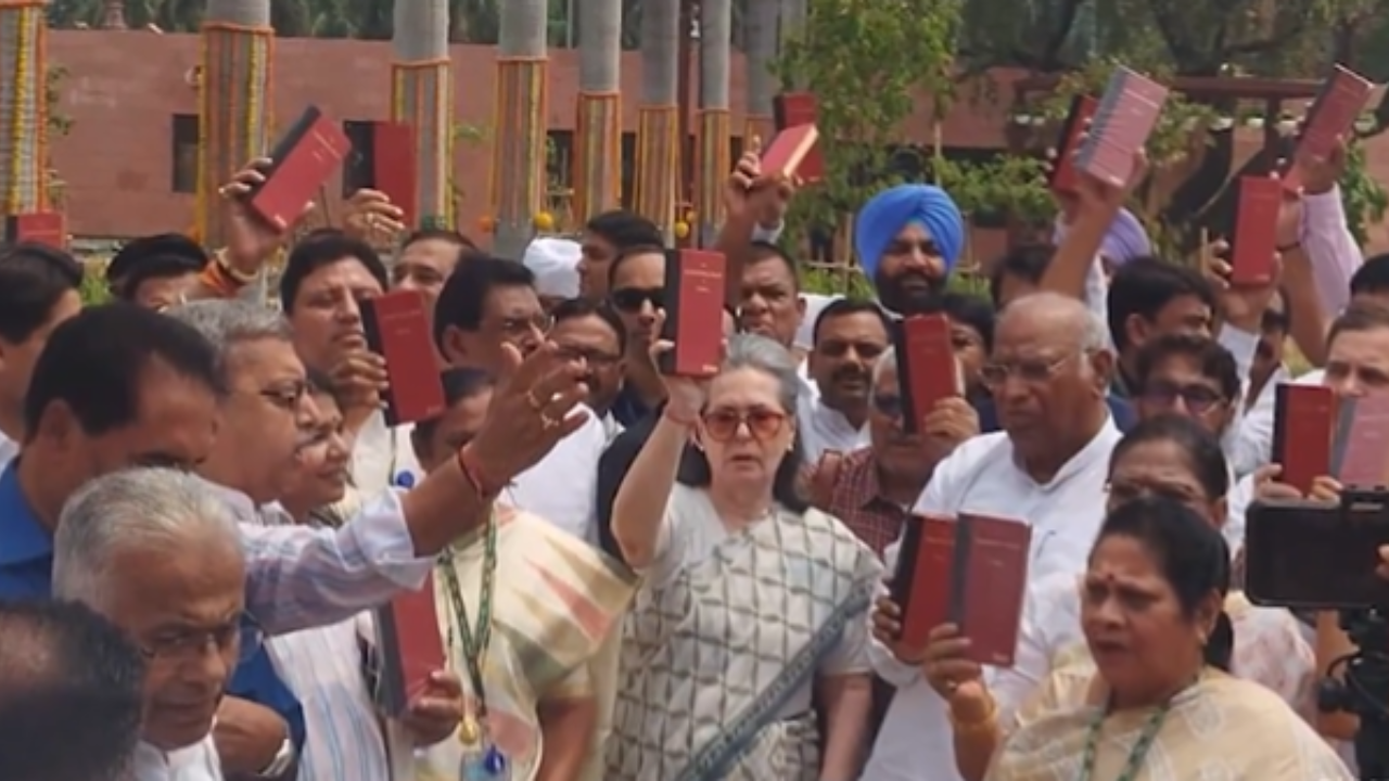 INDIA bloc's show of strength in parliament, raise call to 'save Constitution' | India News - Times of India