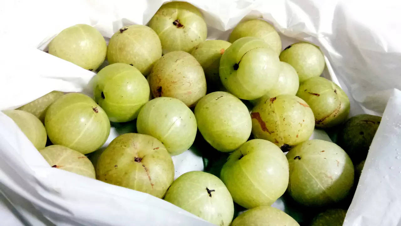 Amla Benefits 10 benefits of chewing 1 amla daily on an empty stomach Times of India