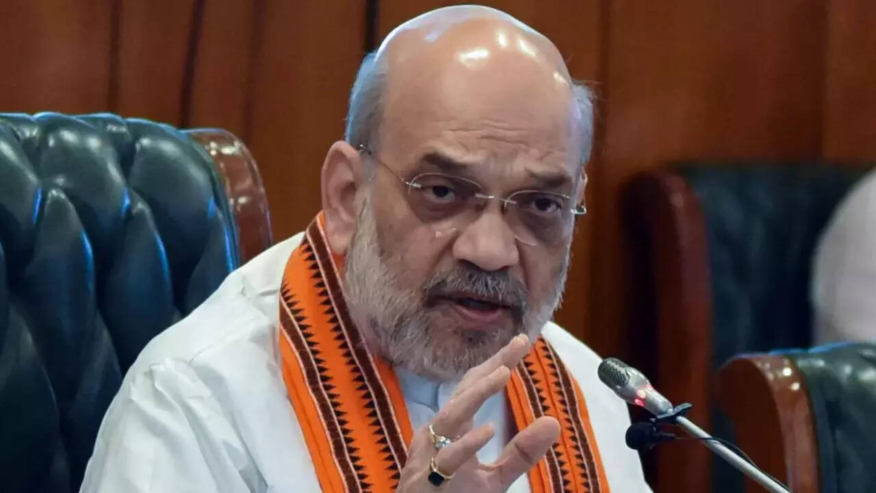 Amit Shah to launch 4 initiatives for cyber safety & security | India News  - The Times of India