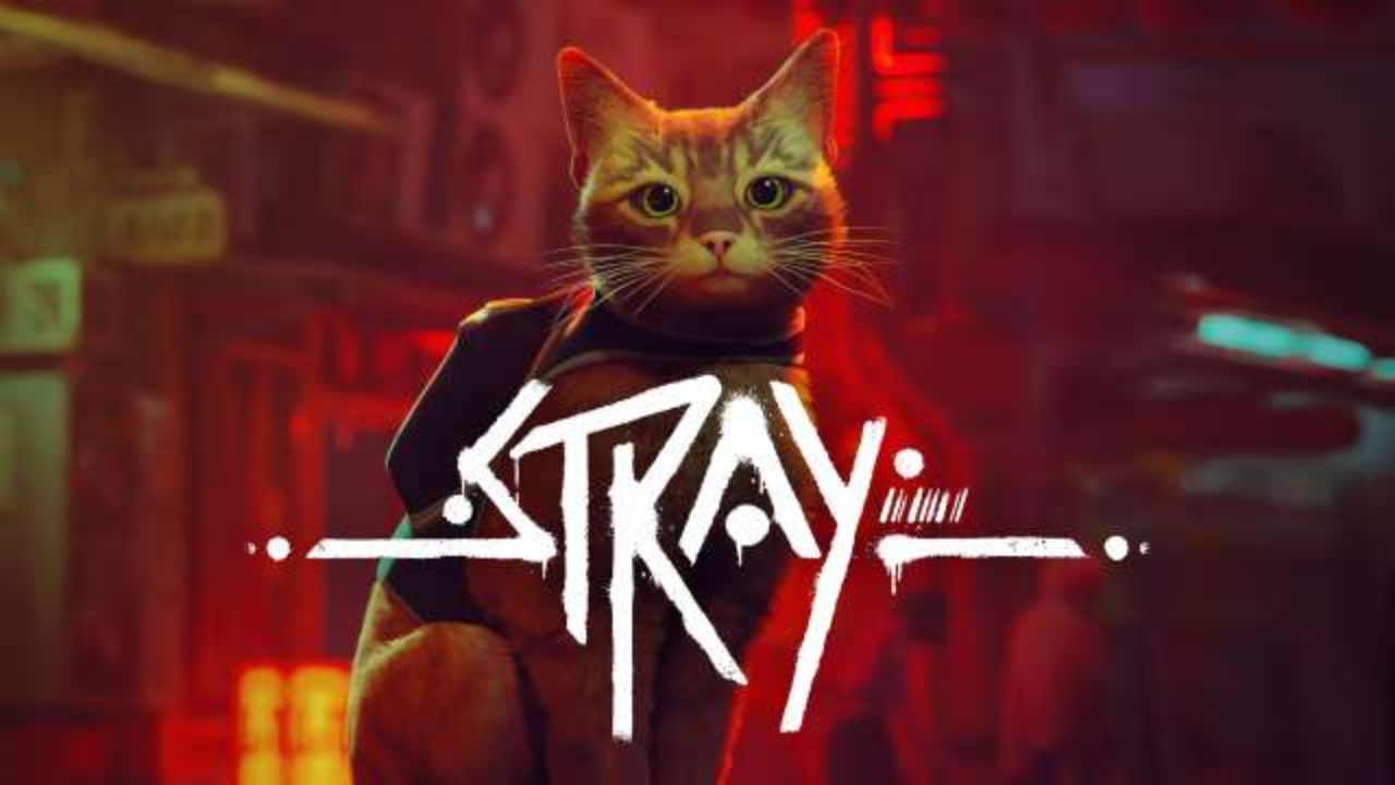 The entire staff of the gaming studio behind the popular cat game