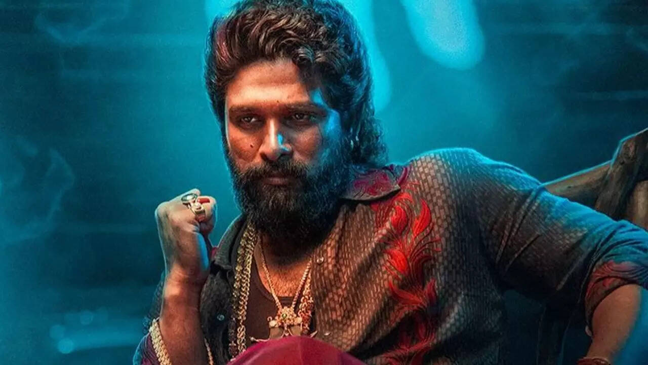 Did Allu Arjuns Pushpa 2 already earn Rs 1000 crore in pre-release  business? Producers reveal | Telugu Movie News - Times of India