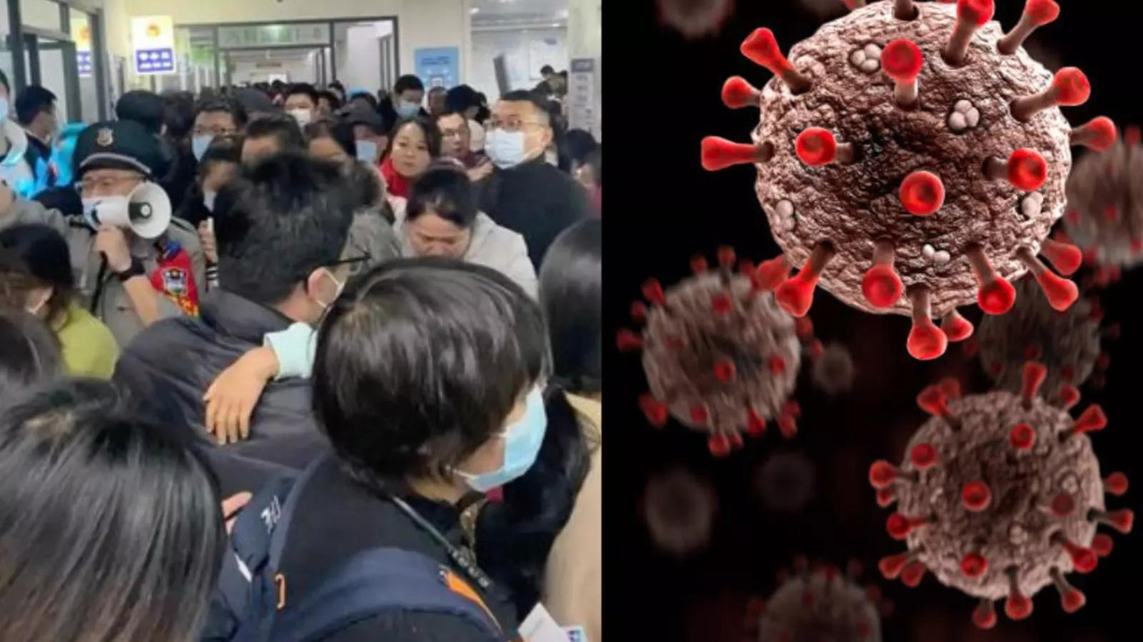 Give timely information on outbreaks in China, India tells WHO | India News - Times of India