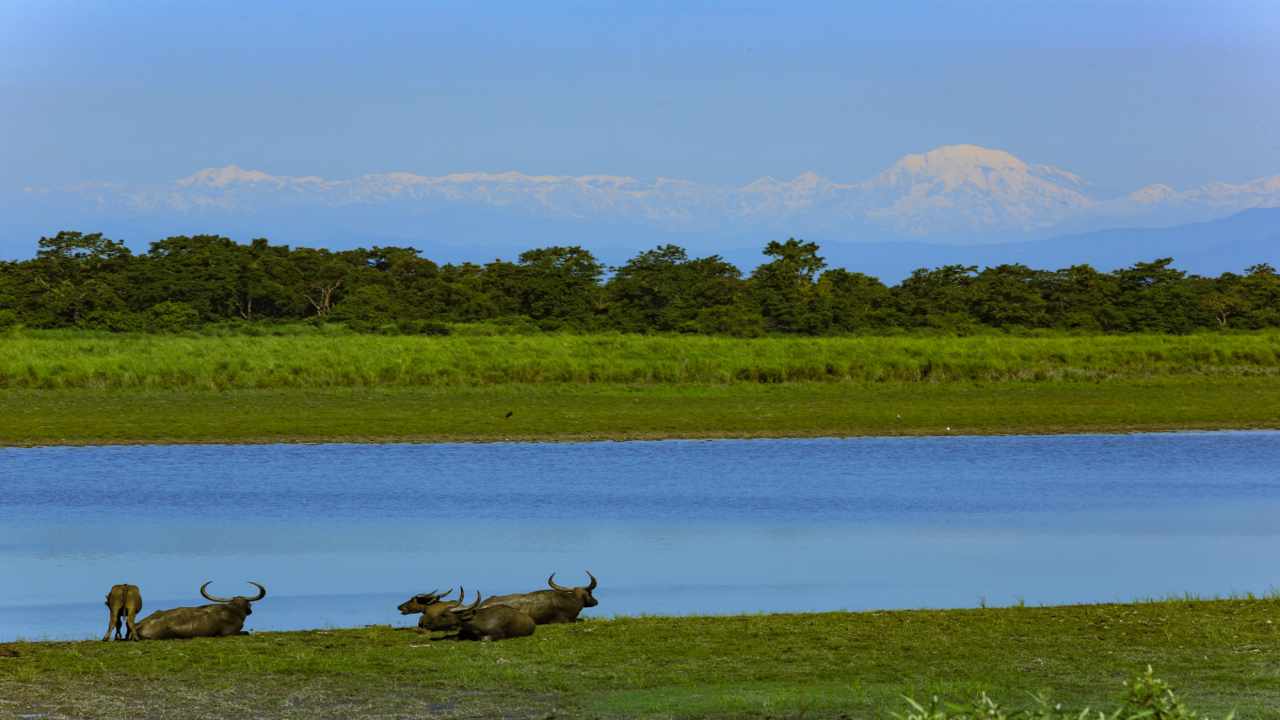 7 UNESCO-Recognized National Parks in India You Must Explore