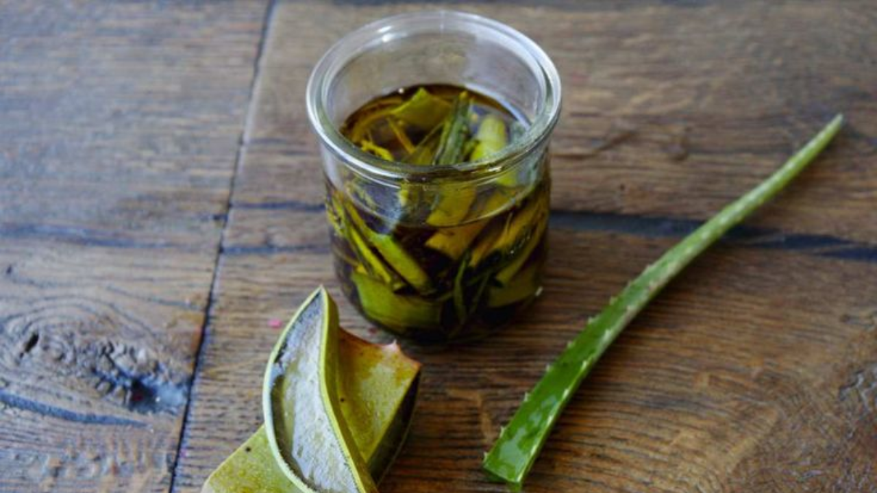Aloe Vera Oil: How to make aloe vera oil for hair growth at home?