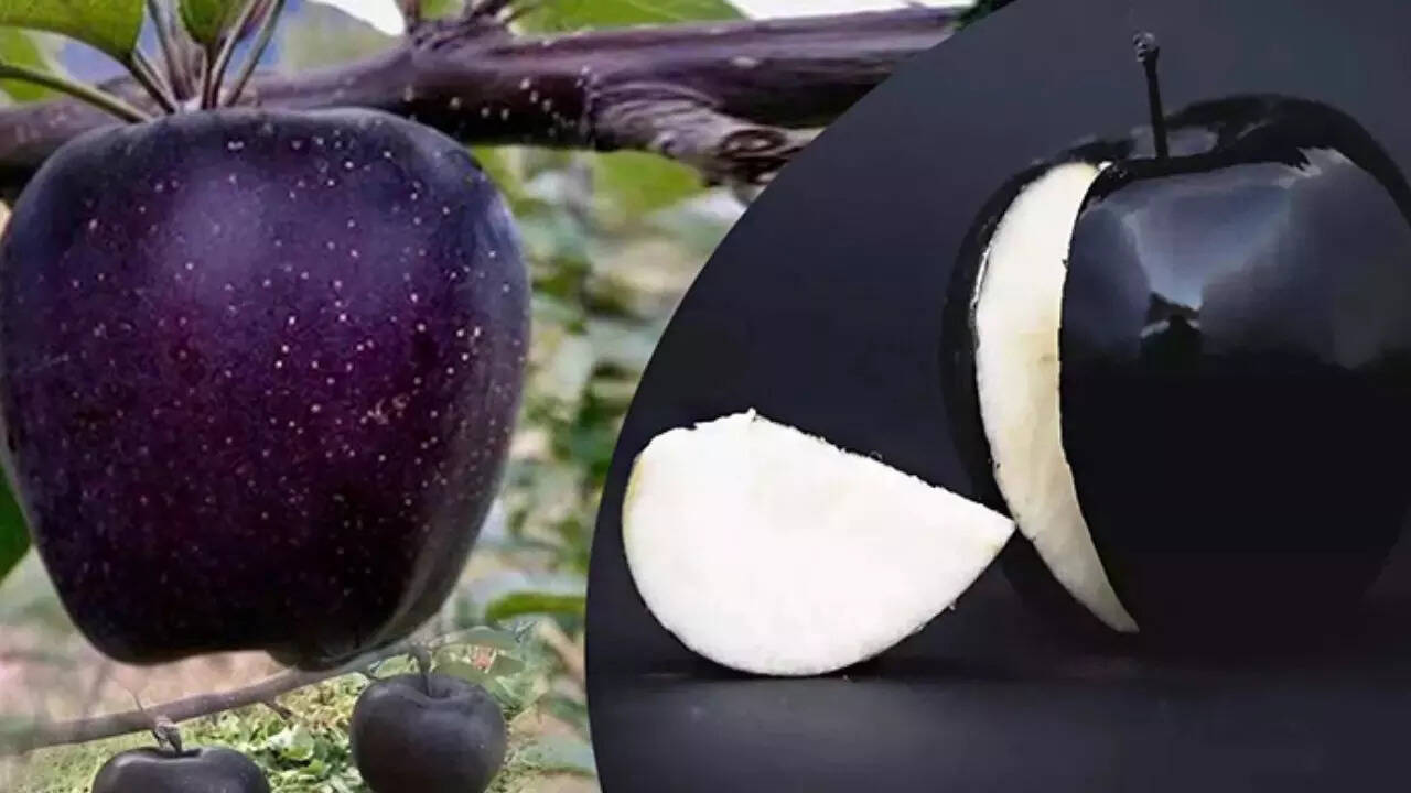 Black diamond apple: The rare exotic superfruit packed with 