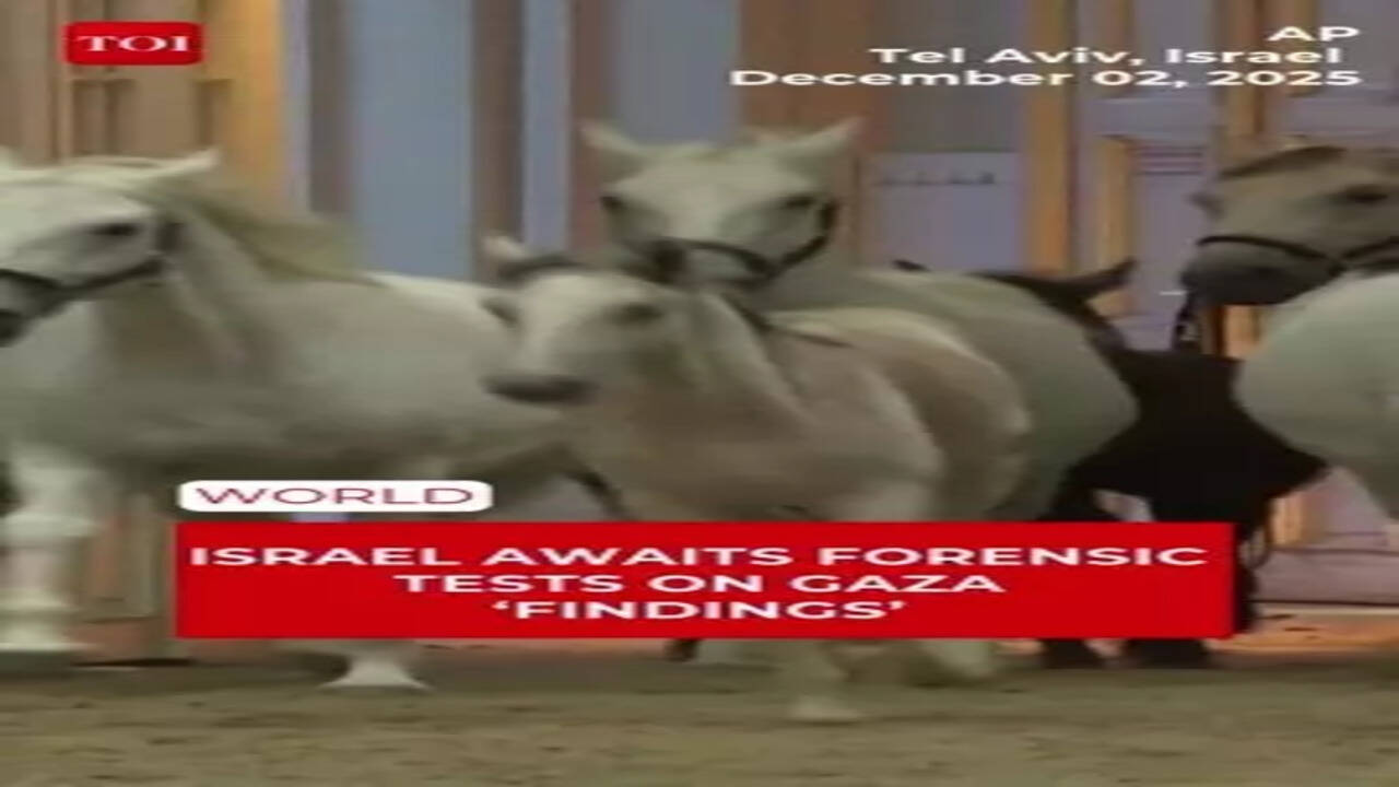 How to Write The Article: The Complete Guide