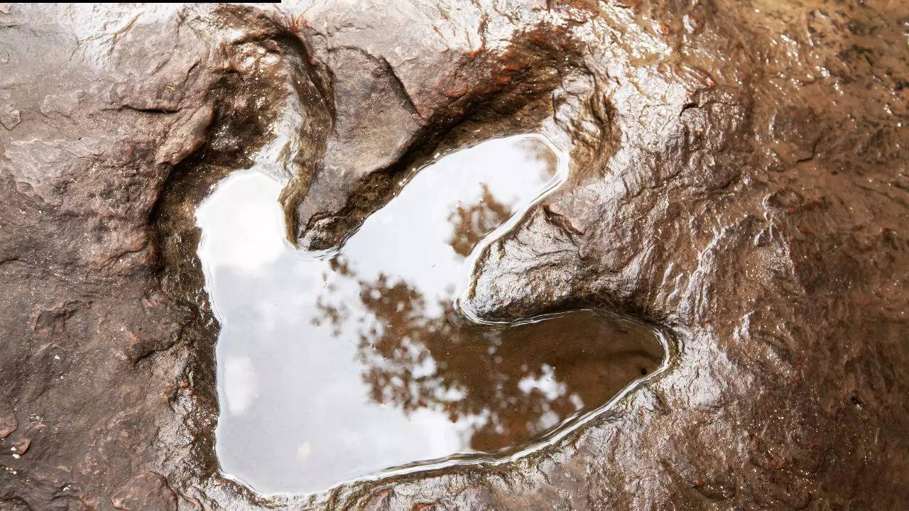 Scientists found more than 16,000 dinosaur footprints underwater in Bolivia