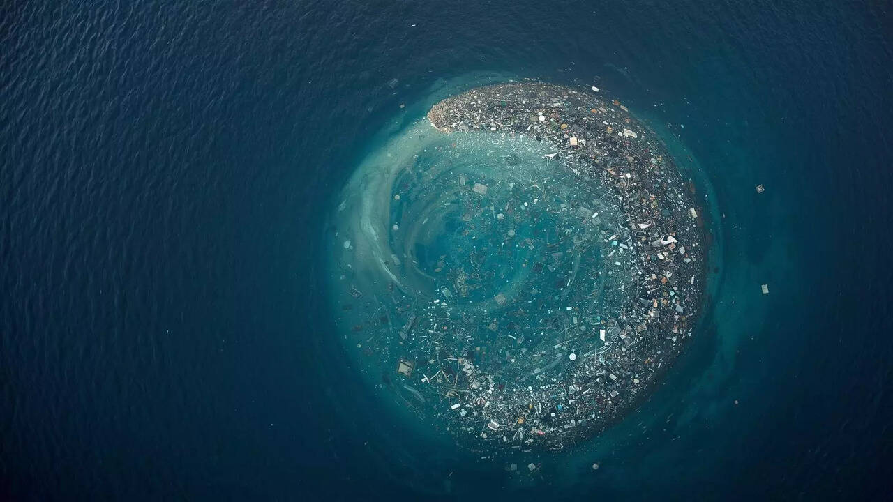 Great Pacific Garbage Patch Animals Pacific Bird Refuge Struggles As