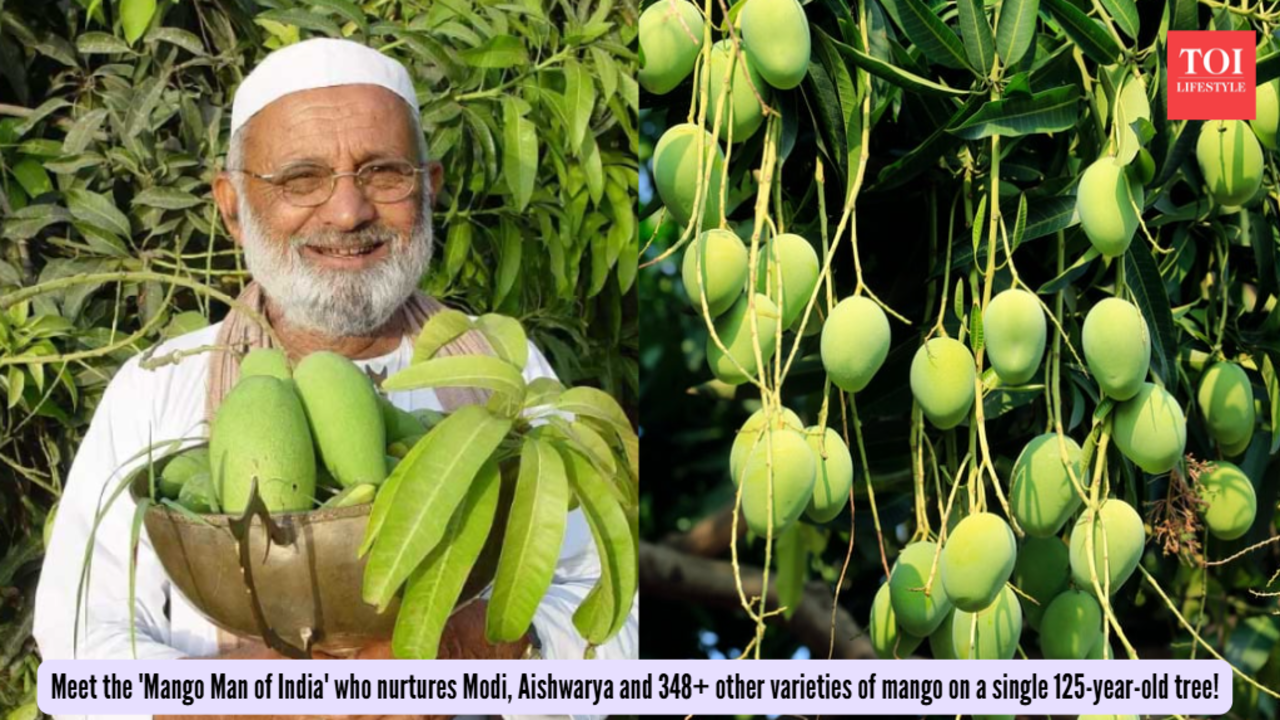 Types Of Mango Trees In India