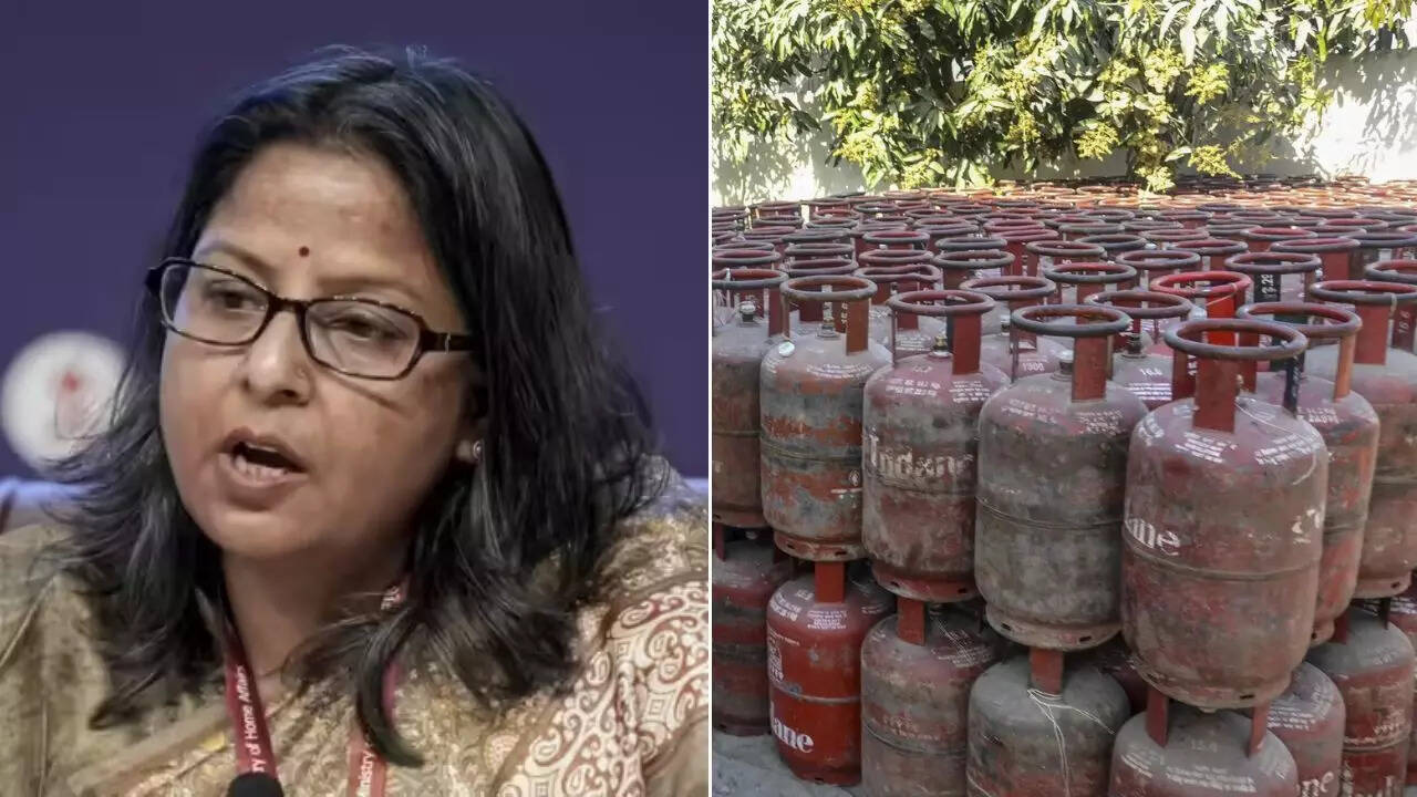 Issue still worrisome': Govt offers extra 10% commercial LPG to states  backing PNG transition push - The Times of India