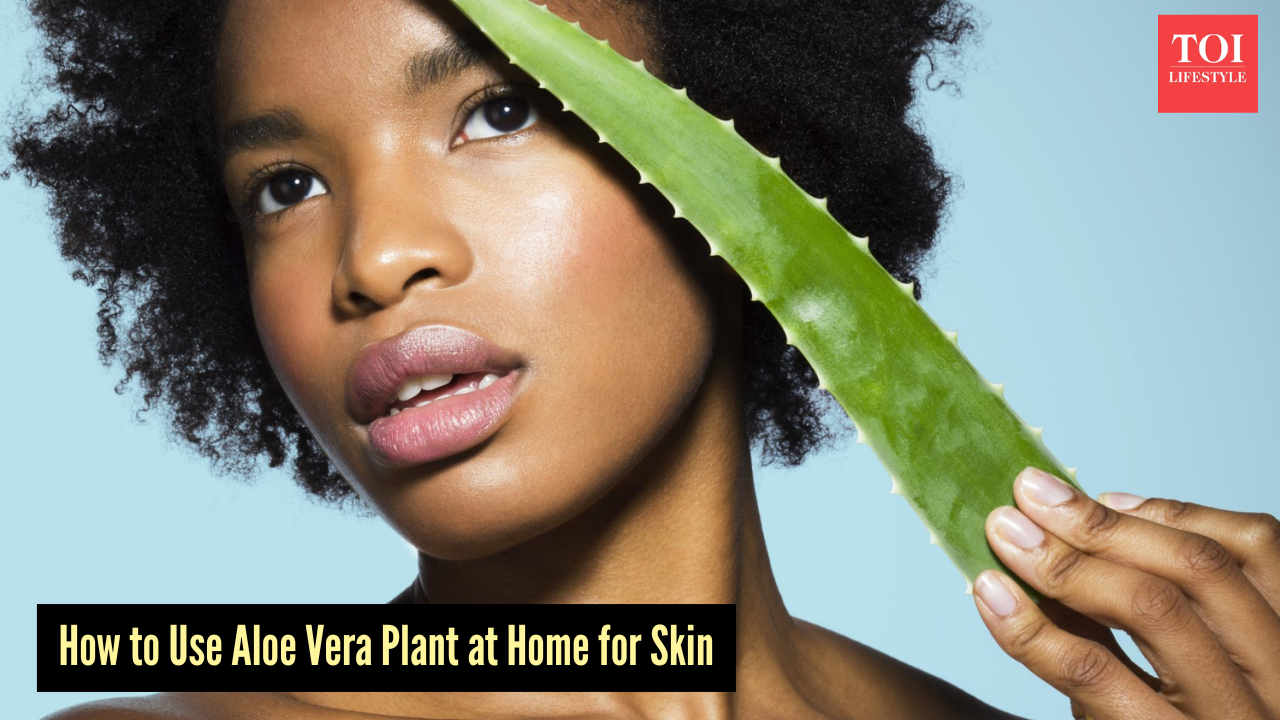 aloe vera for locs Locs Vegan Aloe Refresher Spray Bundle main image 0