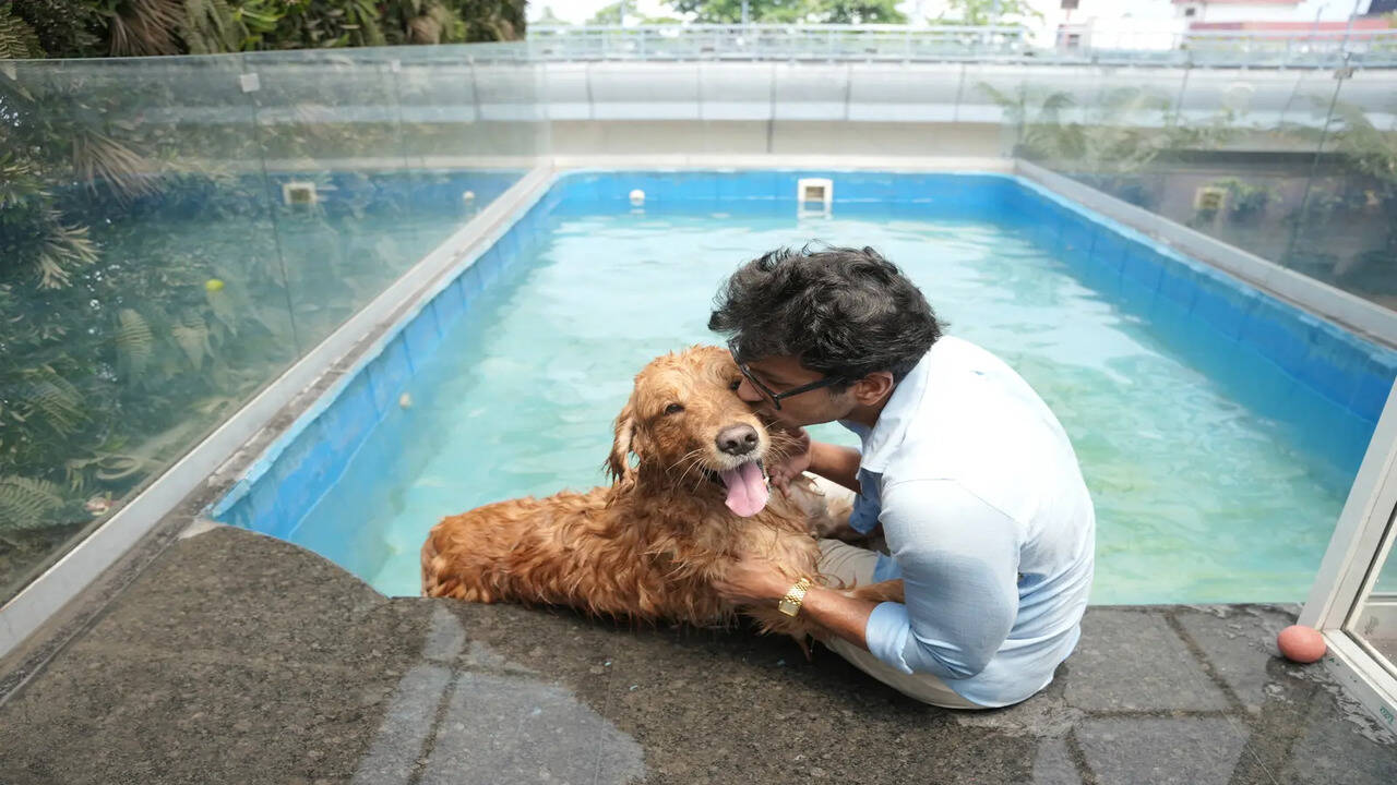Pet owners embrace new weekend activities for pets | News Minimalist