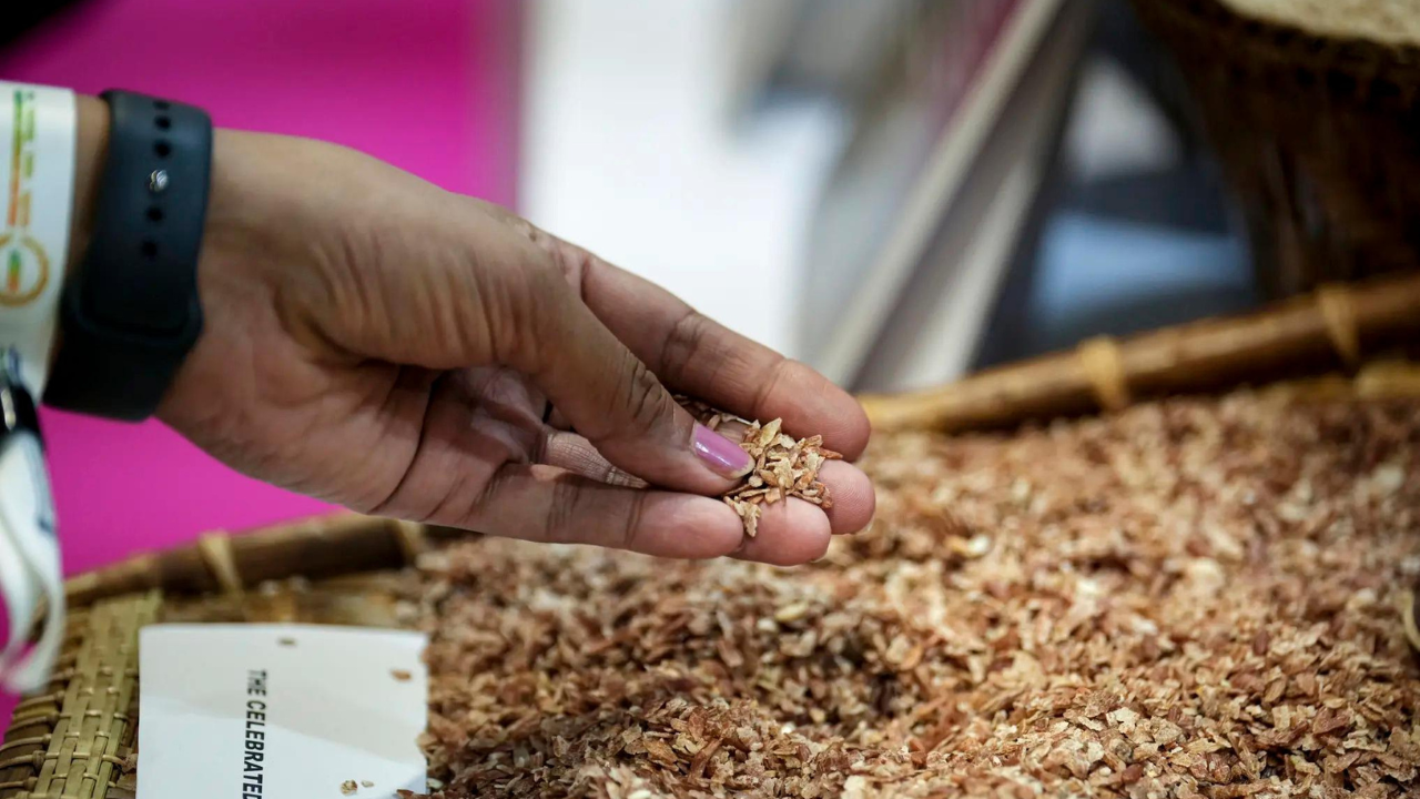 Govt mulls sending surplus rice as aid to conflict-hit Iran