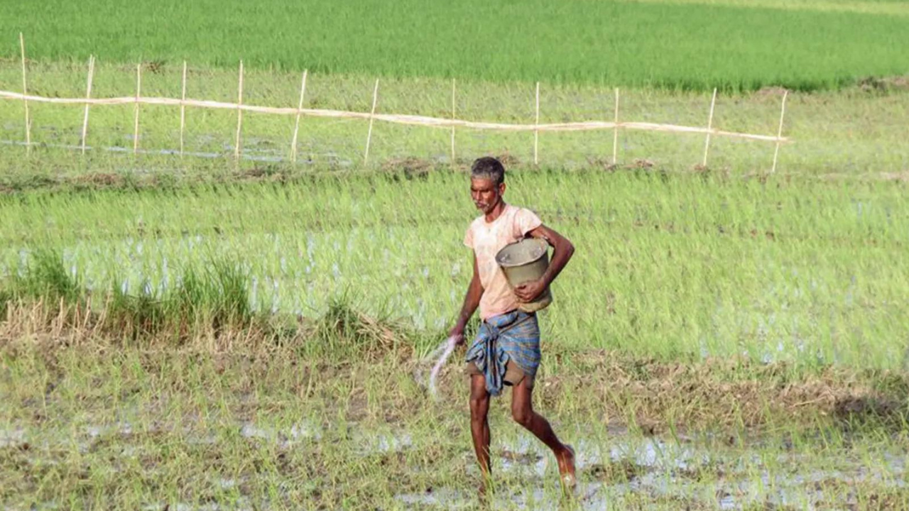 Govt says El Nino risk to farm output manageable, cites irrigation,  reservoirs, seed buffers - The Times of India
