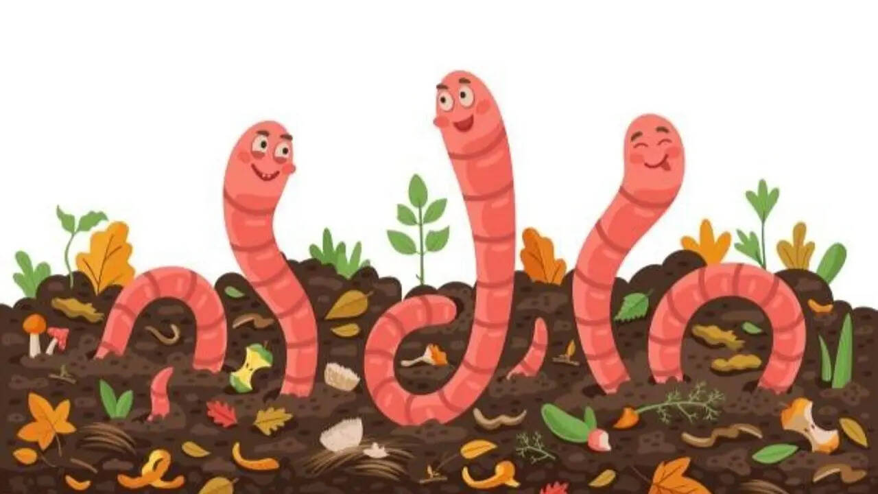 Why earthworms are essential for healthy gardening