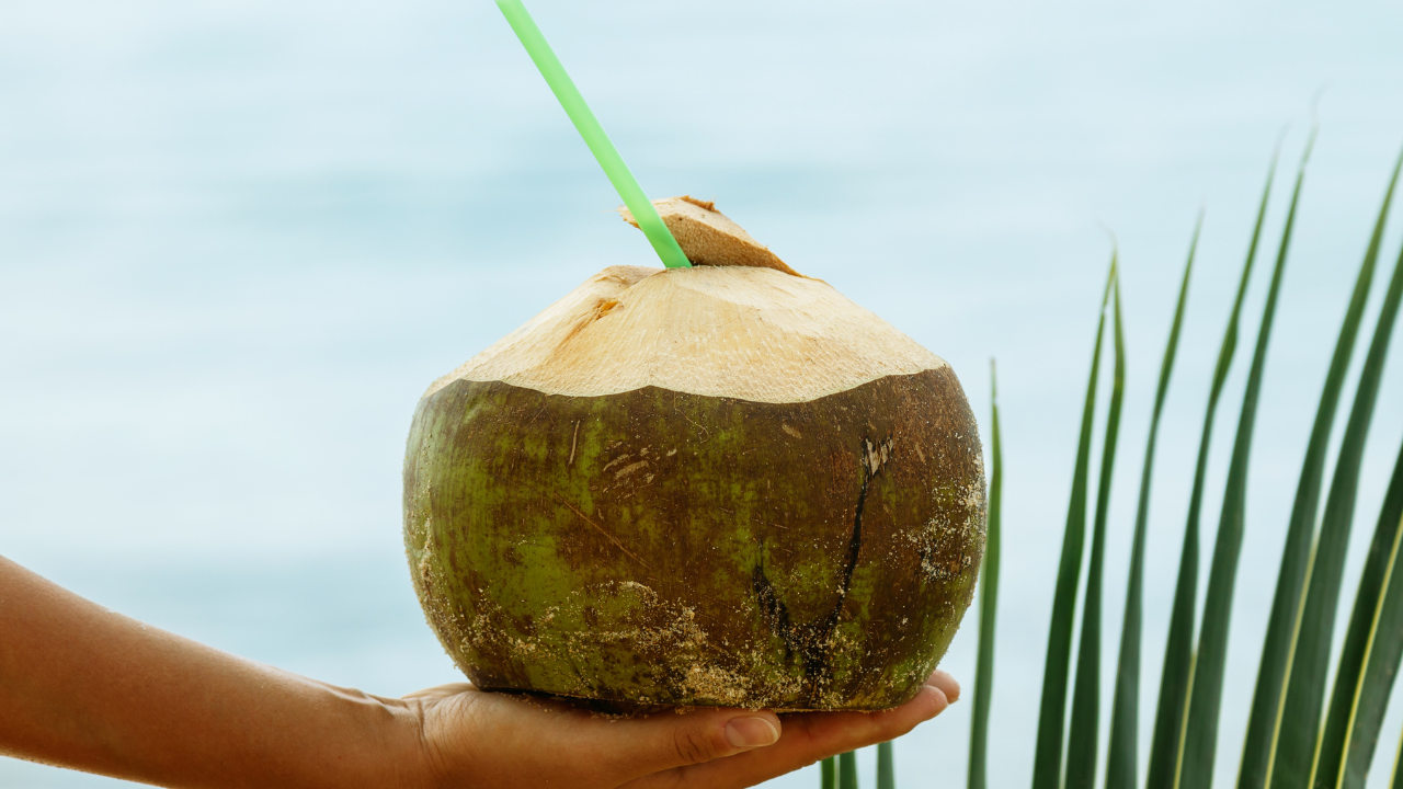 Heat draining you daily? Coconut water might be the simplest fix you're  ignoring, here's why