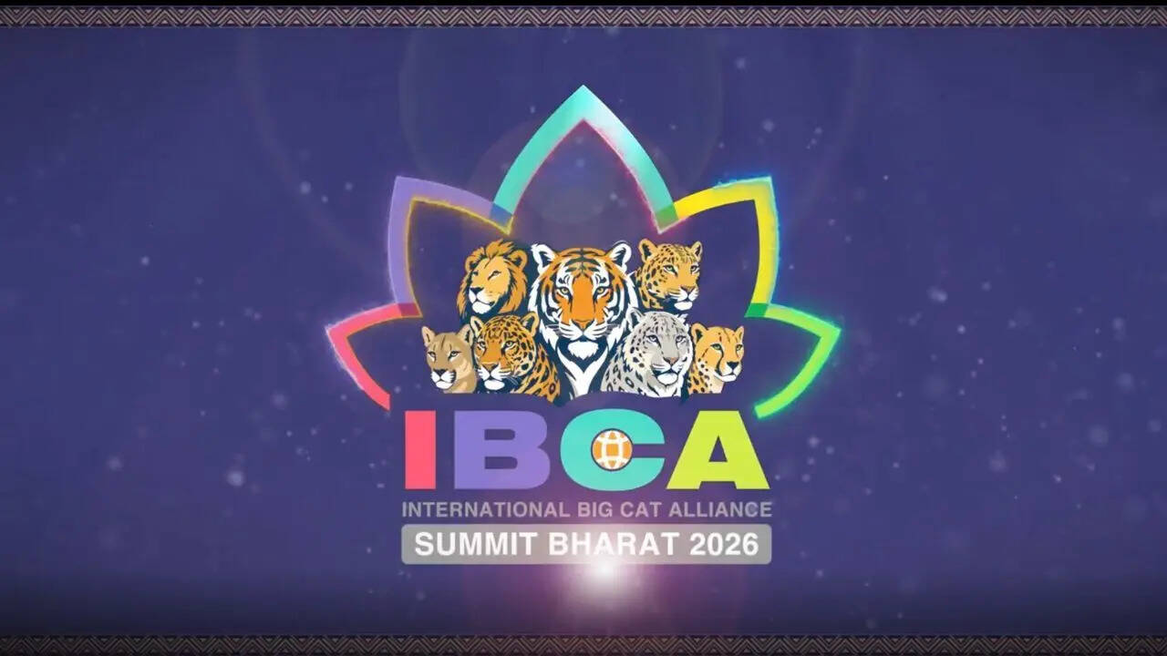 India Calls for Global Participation in Big Cat Conservation Summit Ahead  of IBCA Launch | India News - The Times of India