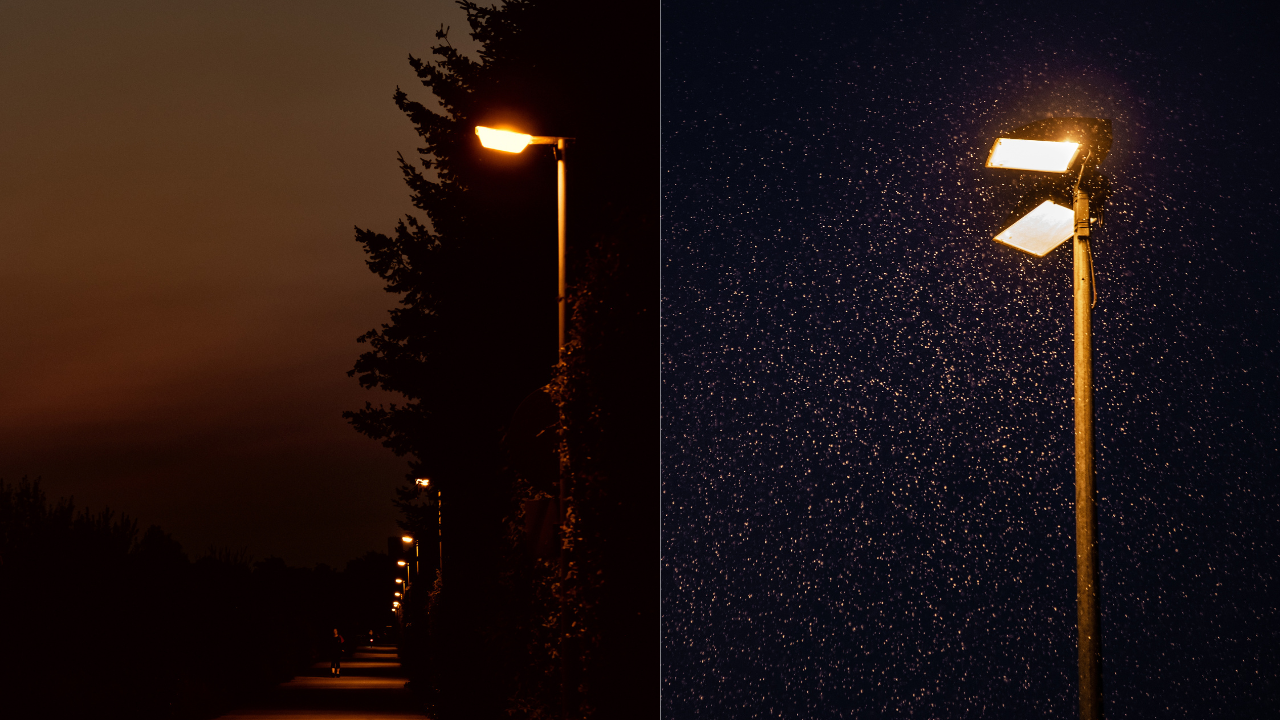 Farmers switch off lights at night to protect wildlife and improve crop-supporting ecosystems | - The Times of India