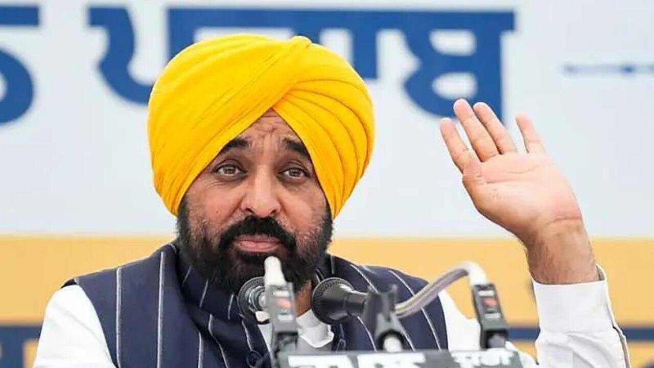BJP demands FIR against Punjab CM Bhagwant Mann under new law