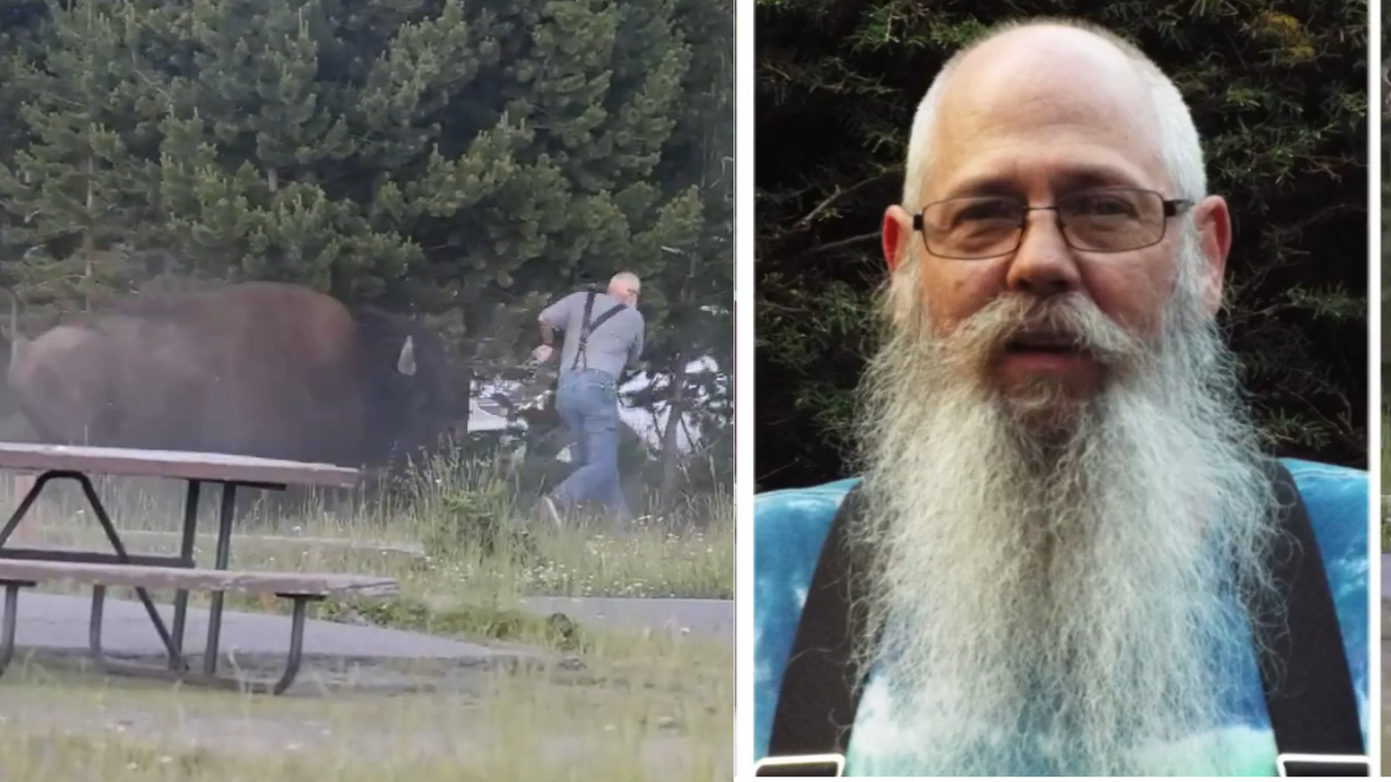 65-year-old grandfather attacked by a Yellowstone bison was cracking jokes despite breaking multiple bones | World News - The Times of India
