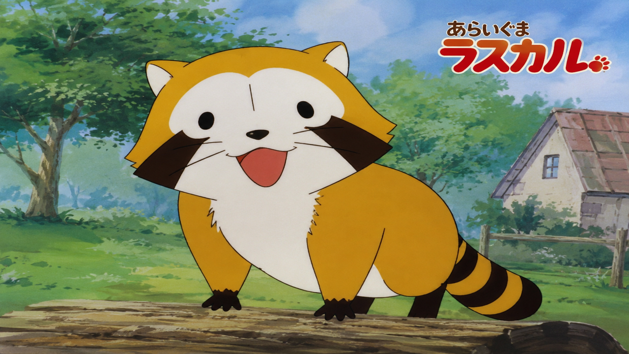 アニメ raccoon 133292542.jpg