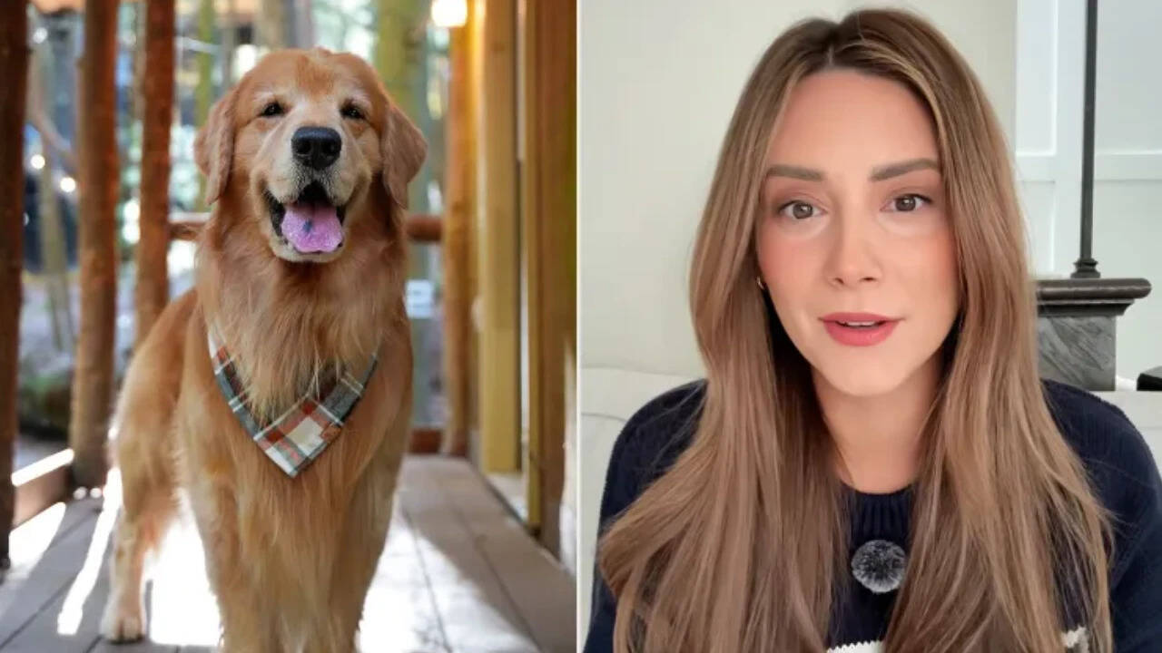 We had to let him go": TikTok-famous golden retriever Tucker Budzyn dies at  8 after sudden complications from lymphoma - The Times of India