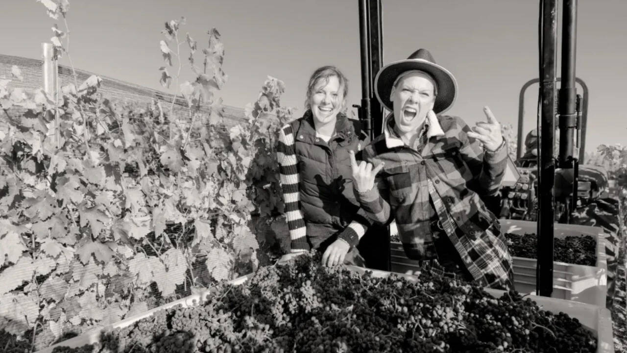 Pink bought 200-acre California ranch; 13 years later, it became a vineyard