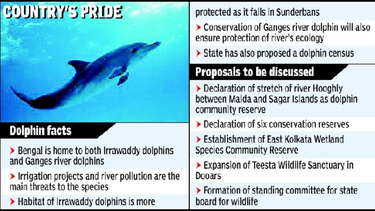 India's first dolphin community reserve to come up in Bengal, Environment  News