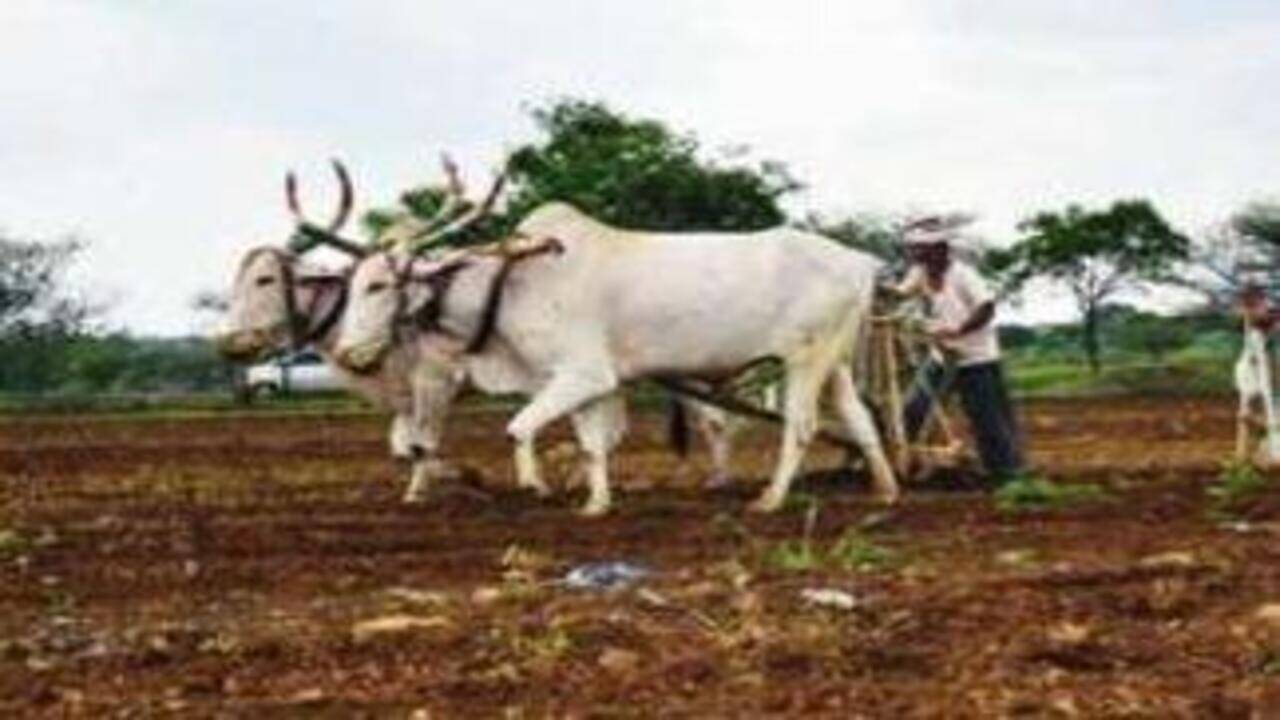 Farmers Cot Sheets atelieryuwa.ciao.jp