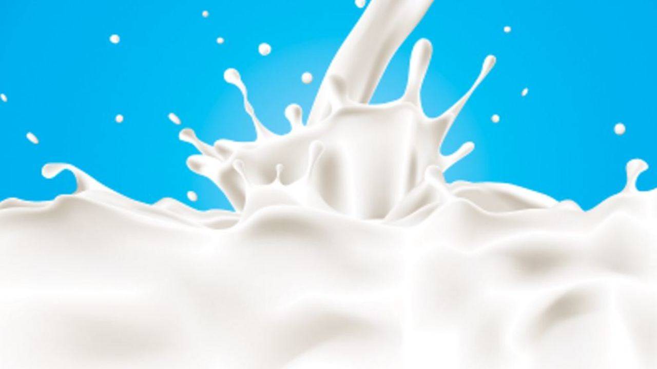 Need right strategy to realize dairy potential' | Ahmedabad News - Times of  India