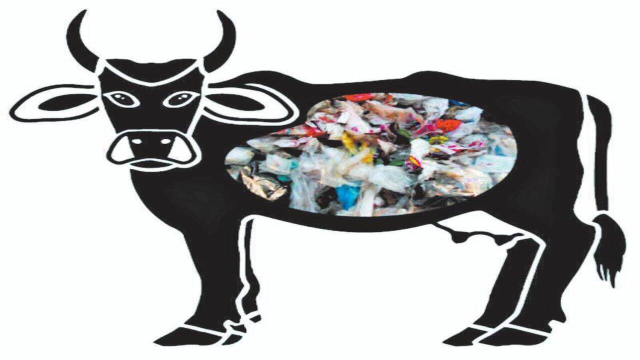 1200 Cow Eating Illustrations RoyaltyFree Vector Graphics  Clip Art   iStock  Cow eating grass Cow eating hay Dairy cow eating
