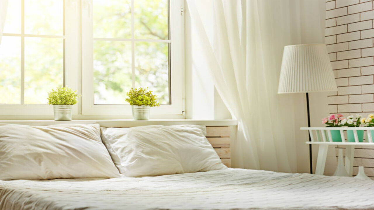 Best Plants To Keep In Your Bedroom Help You Sleep www