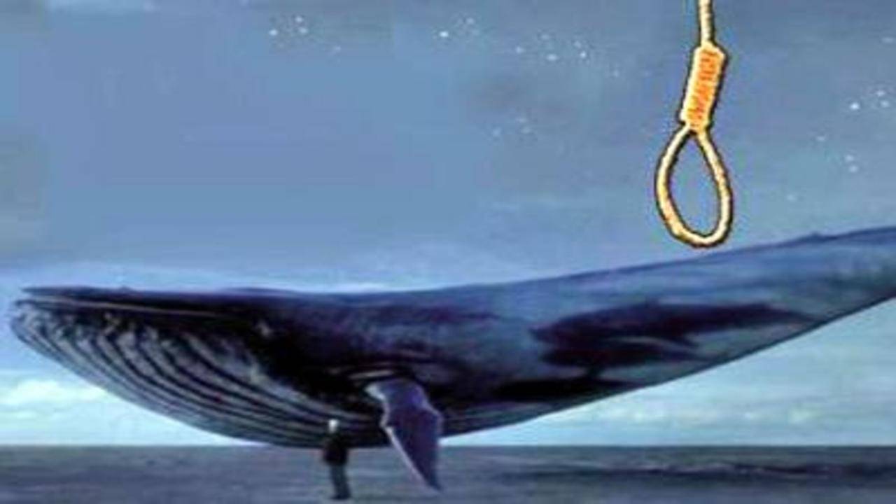 The reality behind the theory of killer game 'Blue Whale ...