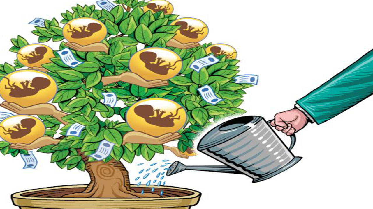 Bonsai technique grow Banyan trees at home | Indore News - Times of India Bonsai technique grow Banyan trees at home | Indore News - Times of India