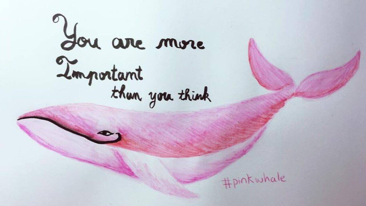 It's time to love yourself with the Pink Whale Challenge | Bengaluru News - Times of India It's time to love yourself with the Pink Whale Challenge | Bengaluru News - Times of India