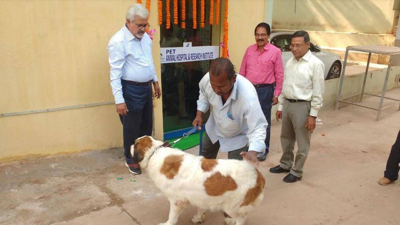 Hospital, research centre for pet animals inaugurated in Bhubaneswar |  Bhubaneswar News - Times of India