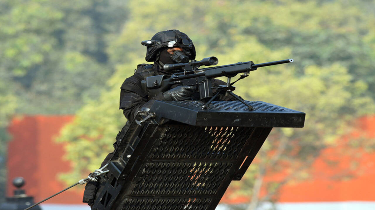 Black Cat Commando Photos - Colaboratory