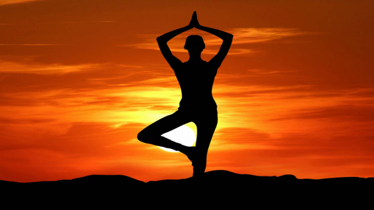 Yogic Lifestyle • Yoga Basics: Yoga Poses, Meditation, History, Philosophy  & More