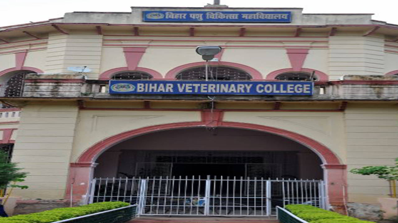 Bihar animal sciences varsity to celebrate first anniversary today | Patna  News - Times of India