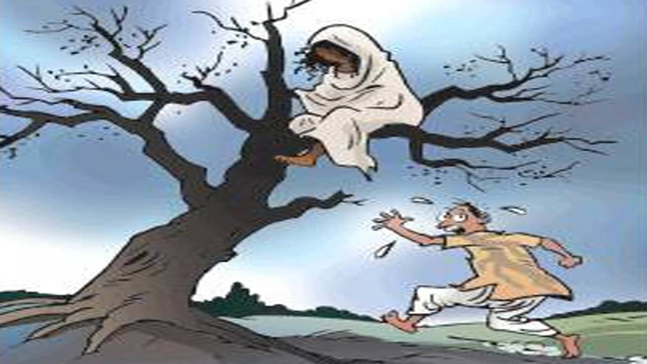 Ghostly' woman on tree spooks locals in Gujarat | Ahmedabad News - Times of  India