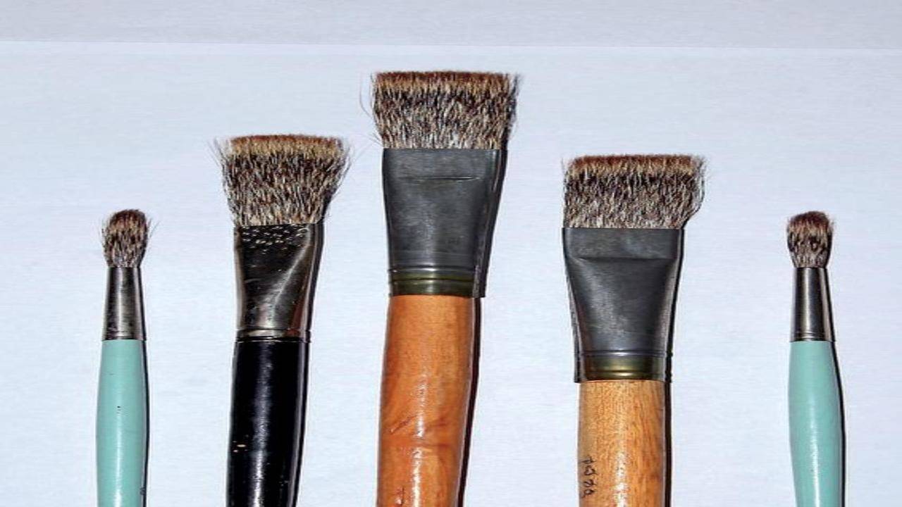 Over 3,500 mongoose hair brushes seized after raids in four states | Delhi  News - Times of India