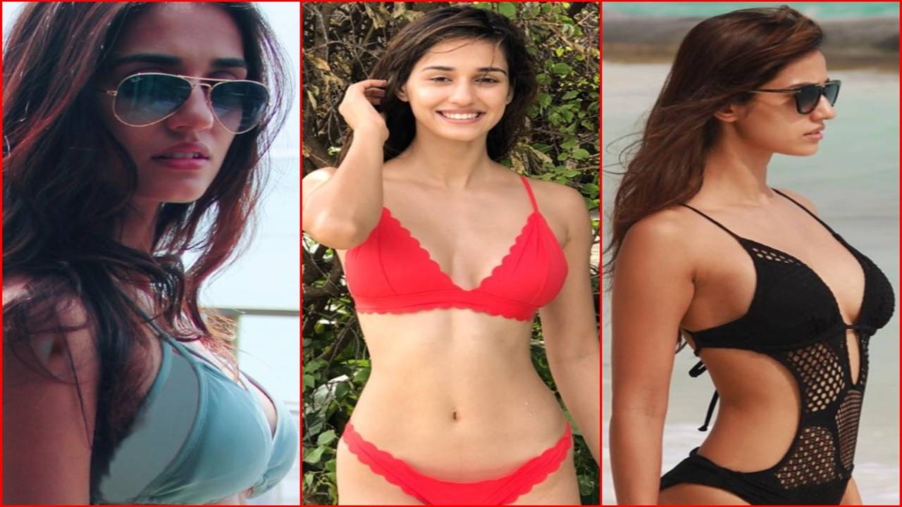 Disha Xx Video - Disha Patani Photos: These Bikini & Monikini Pics of 'Loafer' Diva Will  Take Your Breath Away | The Times of India