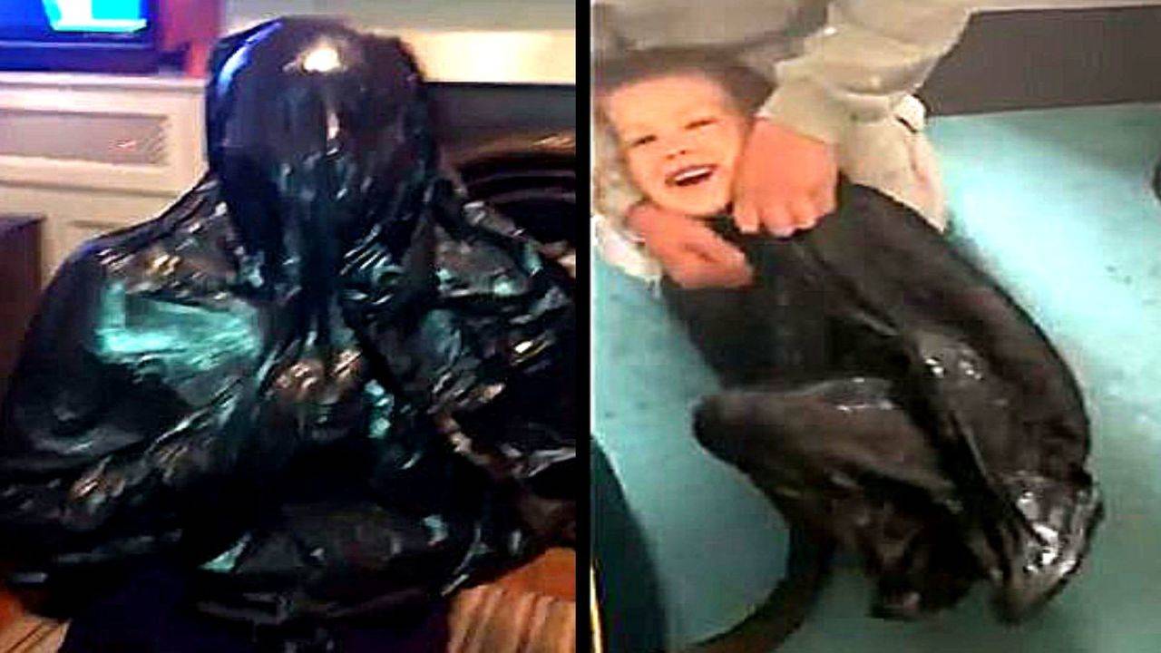 Cyle from Dundalk attempted the bin bag vacuum challenge under the  supervision of his Mother 😂😂😂 | Cyle from Dundalk attempted the bin bag  vacuum challenge under the supervision of his Mother