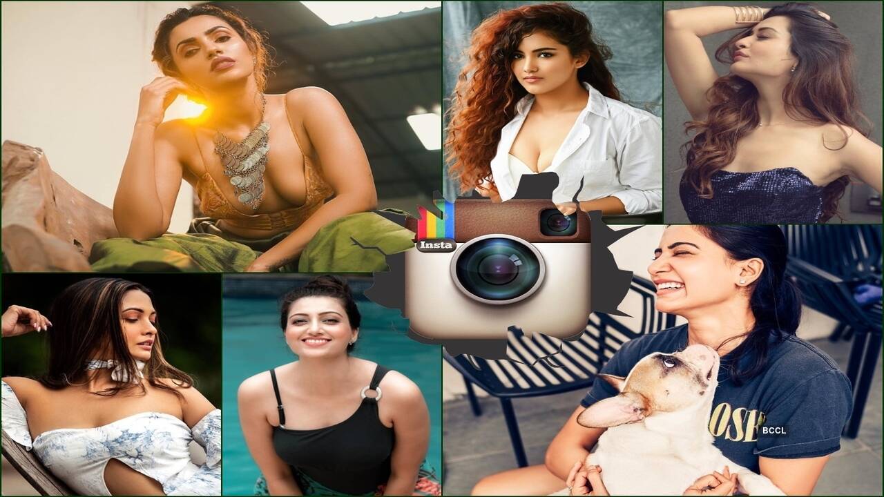 Instagram Photos of the Week: Jaw-dropping poses of Akshara Gowda and Payal  Rajput to Samanthas cute moment with her dog