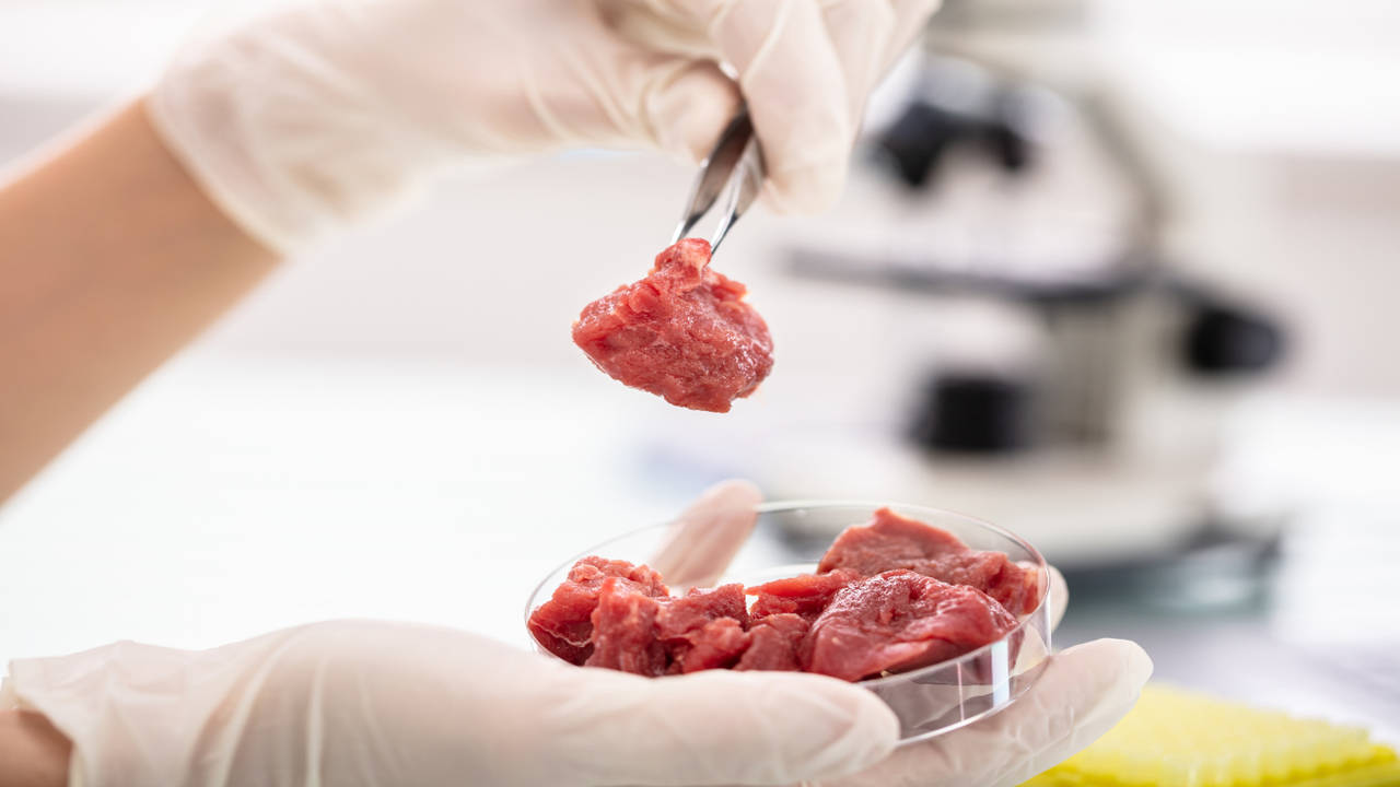 Advocates of lab-grown meat poke holes in claim it is bad for the environment 72155373