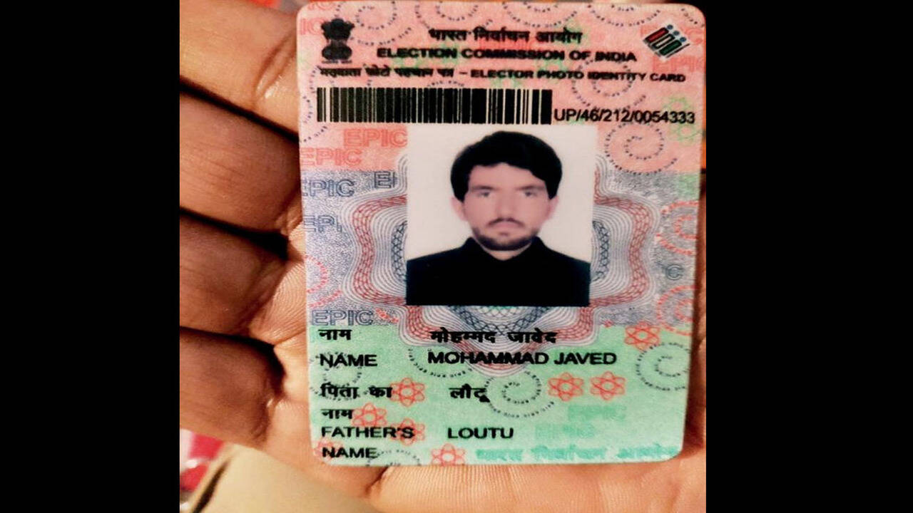 Fake Celebrity Id Cards Sid