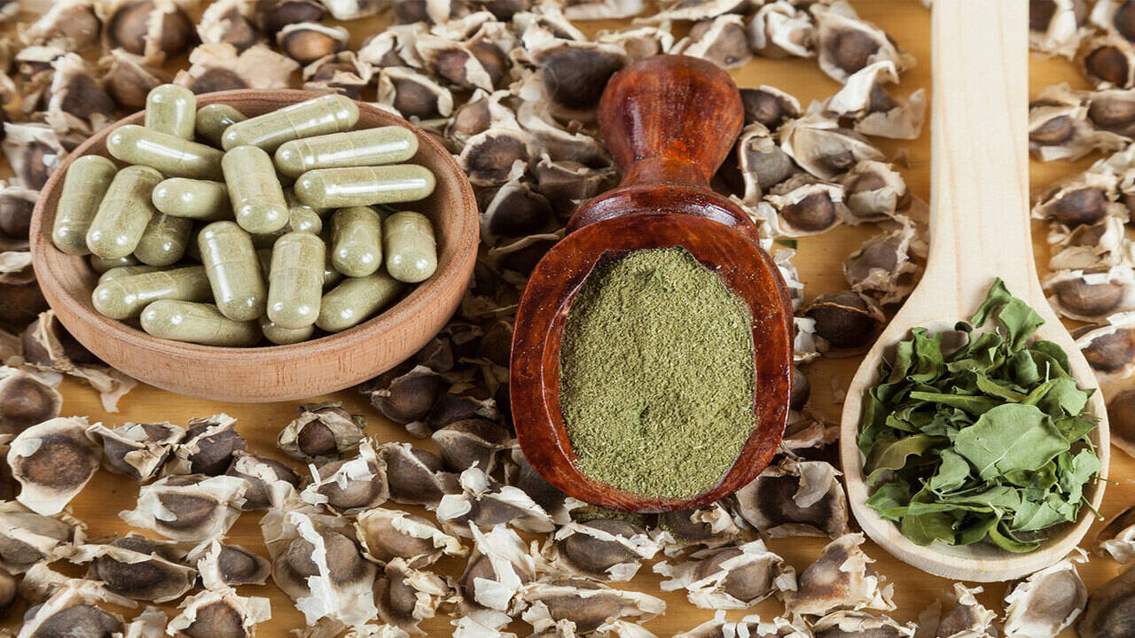 What is Moringa and why must we consume it this season? | The Times of India What is Moringa and why must we consume it this season? | The Times of India