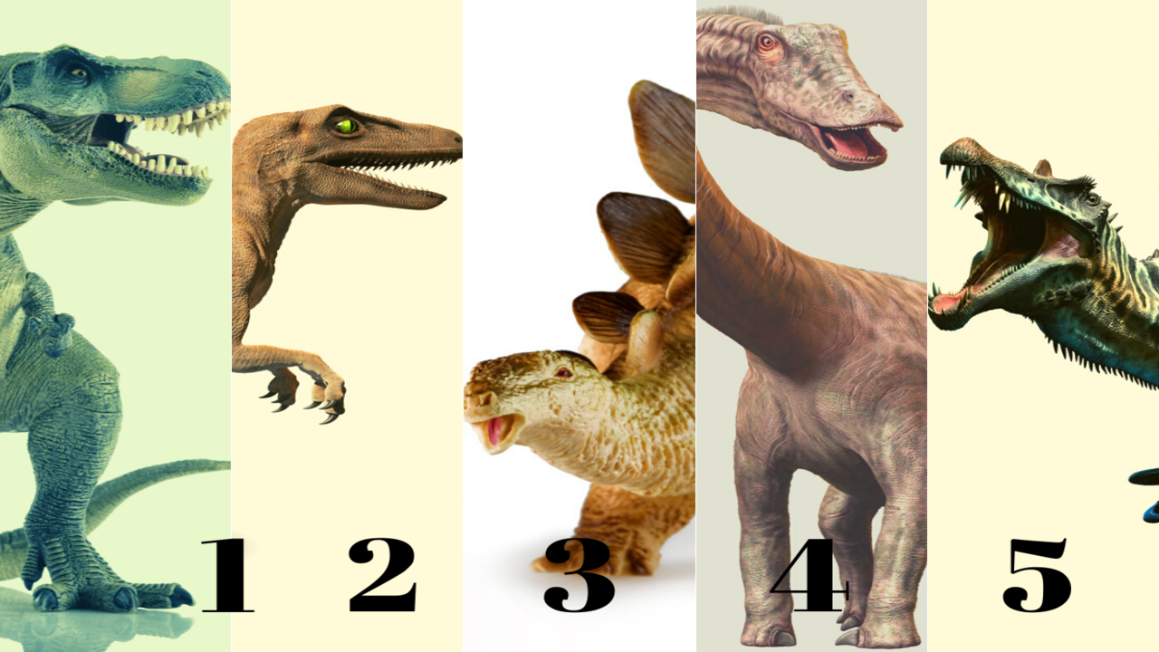 What Does Your Favorite Dinosaur Say About You?