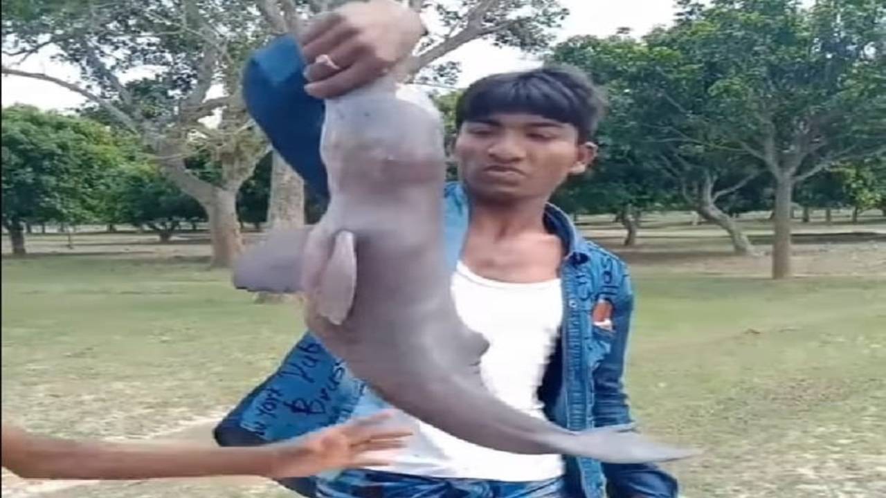 Horrifying Video Shows Two Men Torturing an Infant Dolphin in West Bengal -  News18