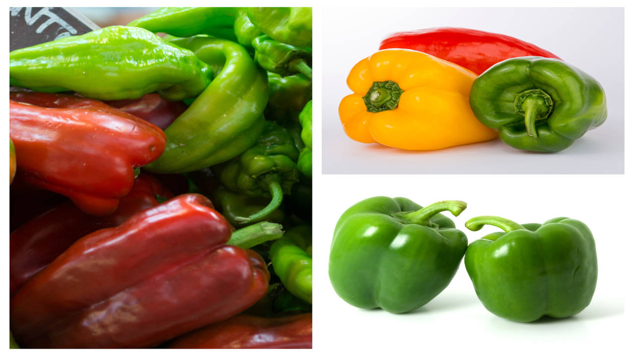 Bell Peppers: Types, Benefits, Nutrition, Recipes of Red Capsicum
